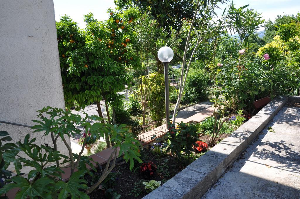 B&B La Palombara Giuliano di Roma エクステリア 写真