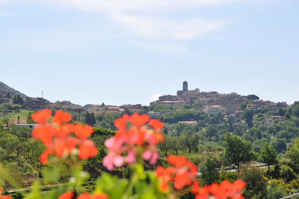 B&B La Palombara Giuliano di Roma エクステリア 写真